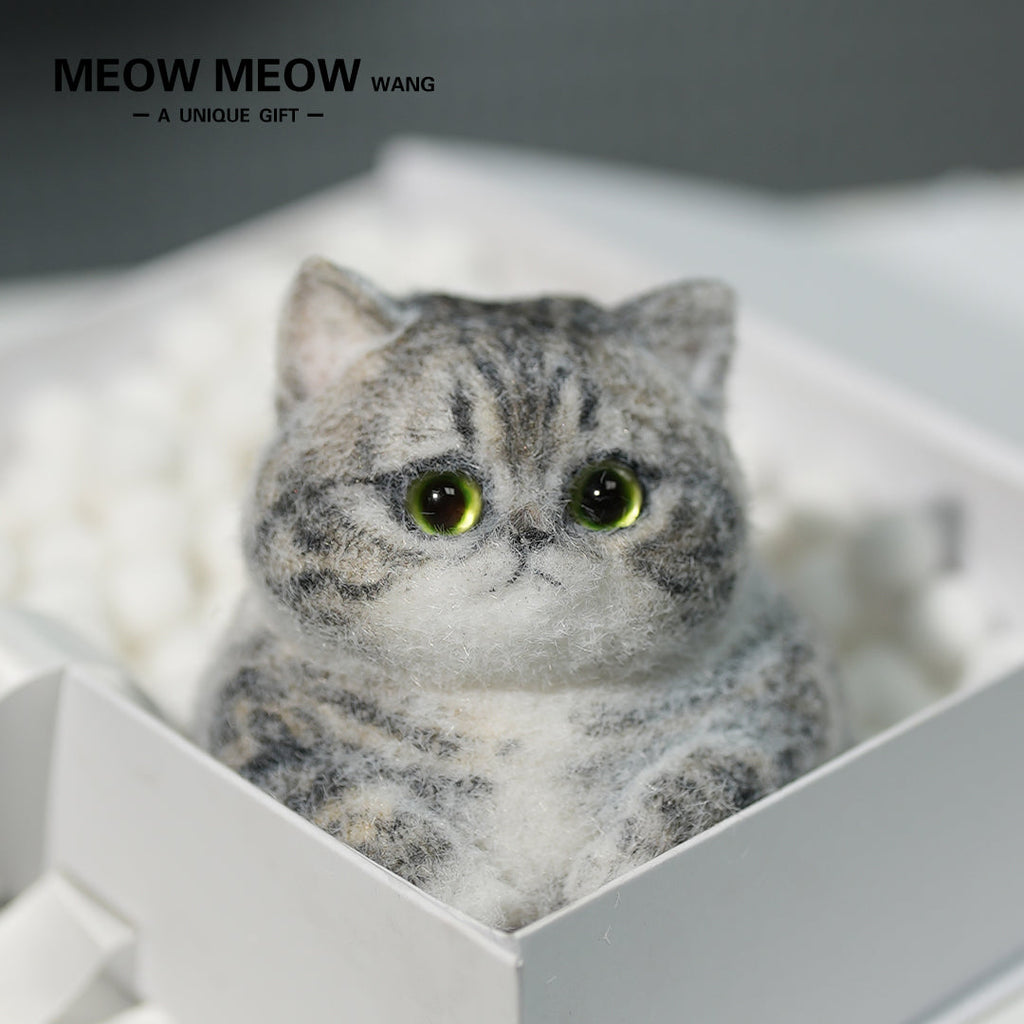C10:Cute Gray Chubby Squishy Cat