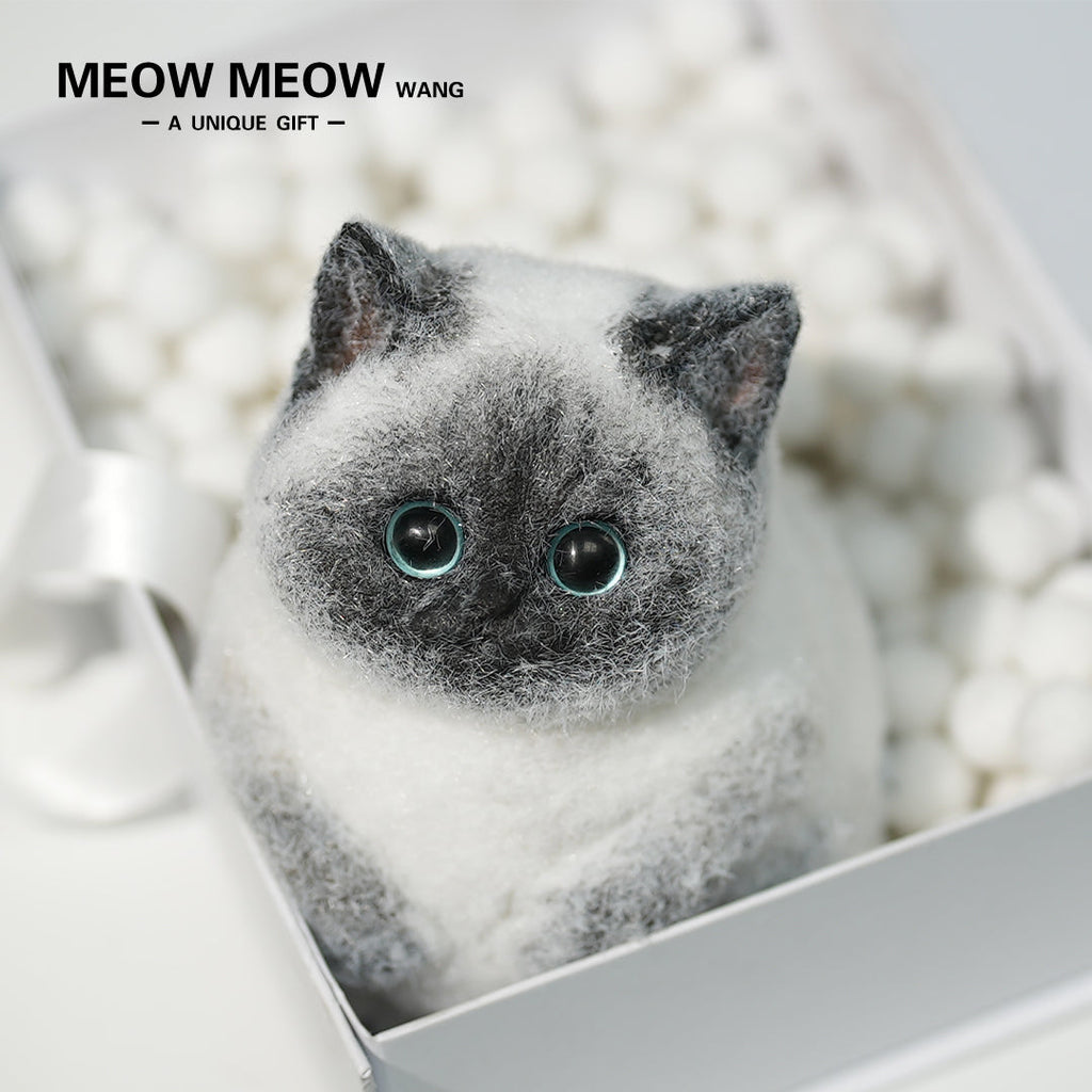 C11: Super Cute Special Siamese Chubby Squishy Kitty
