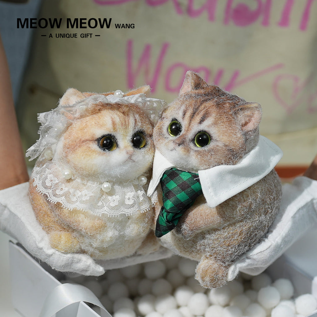 C14:Beautiful Bride And Handsome Groom