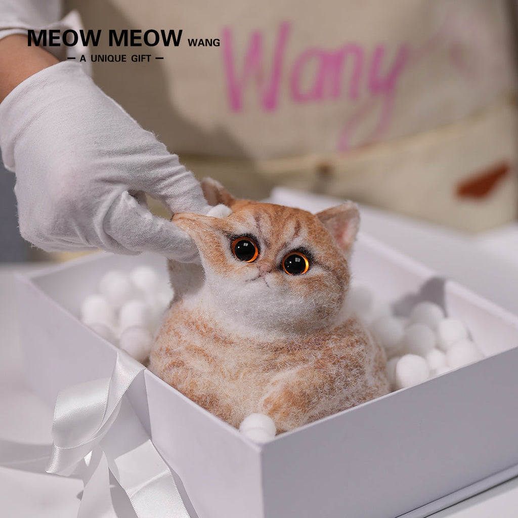 C05:Cute Angry Chubby Squishy Cat