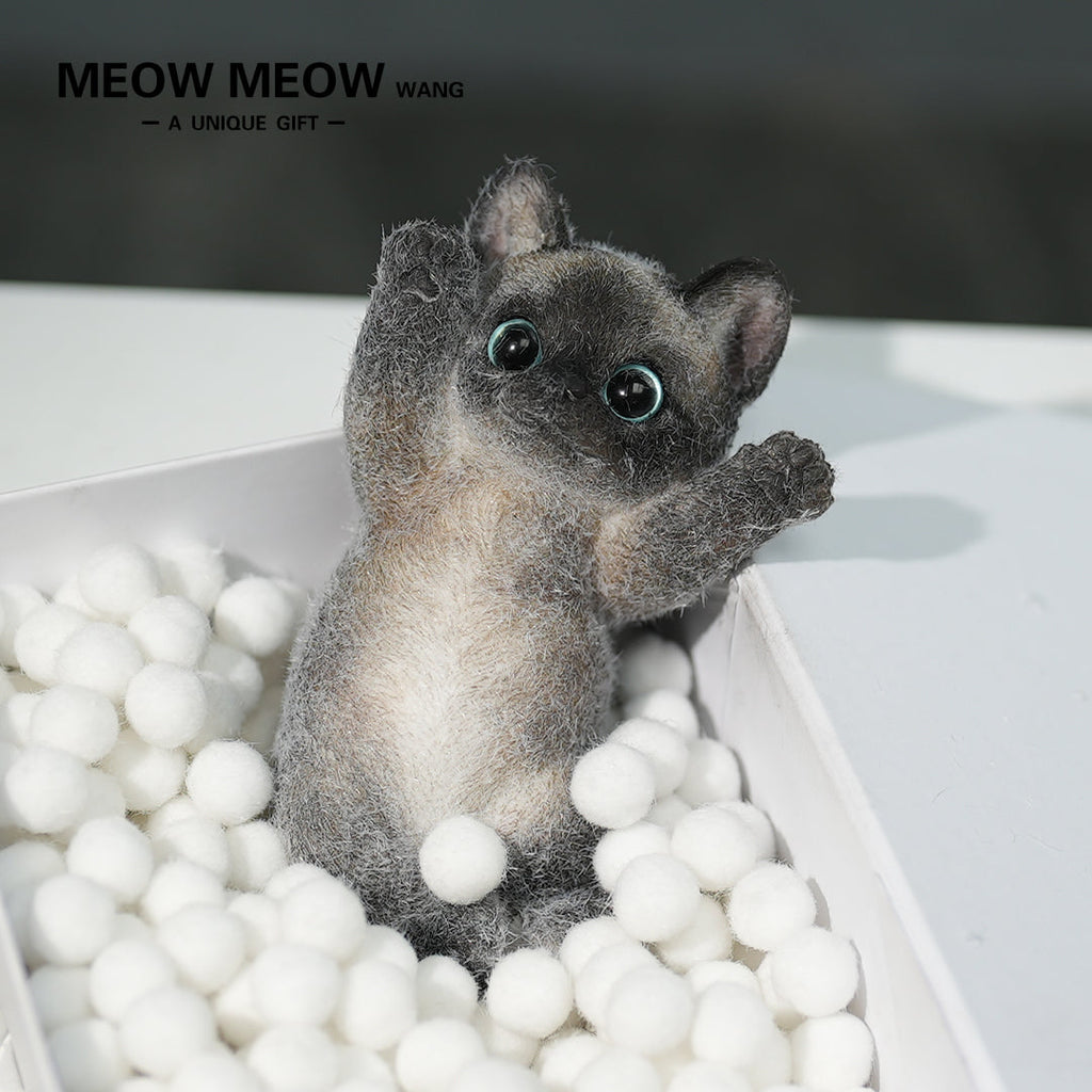 B02:Black Siamese Squishy Cat