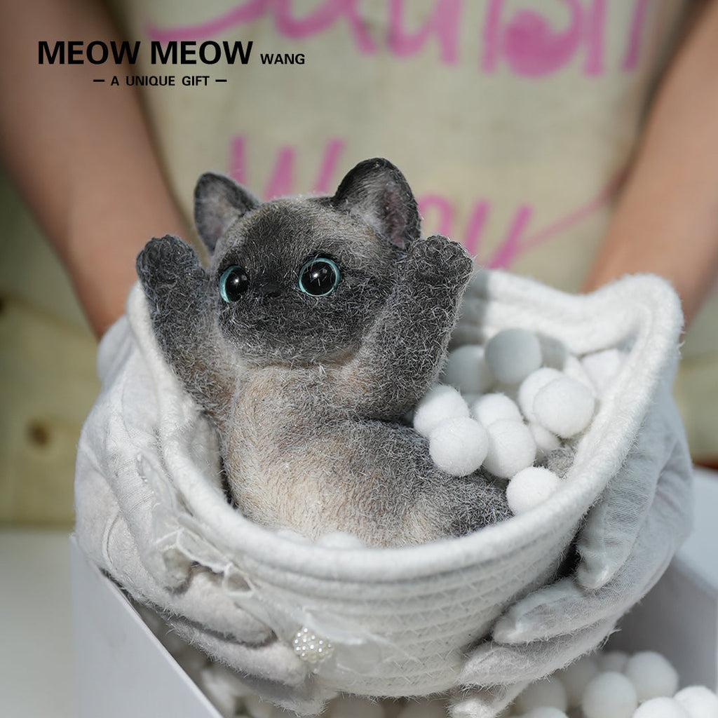 B02:Black Siamese Squishy Cat