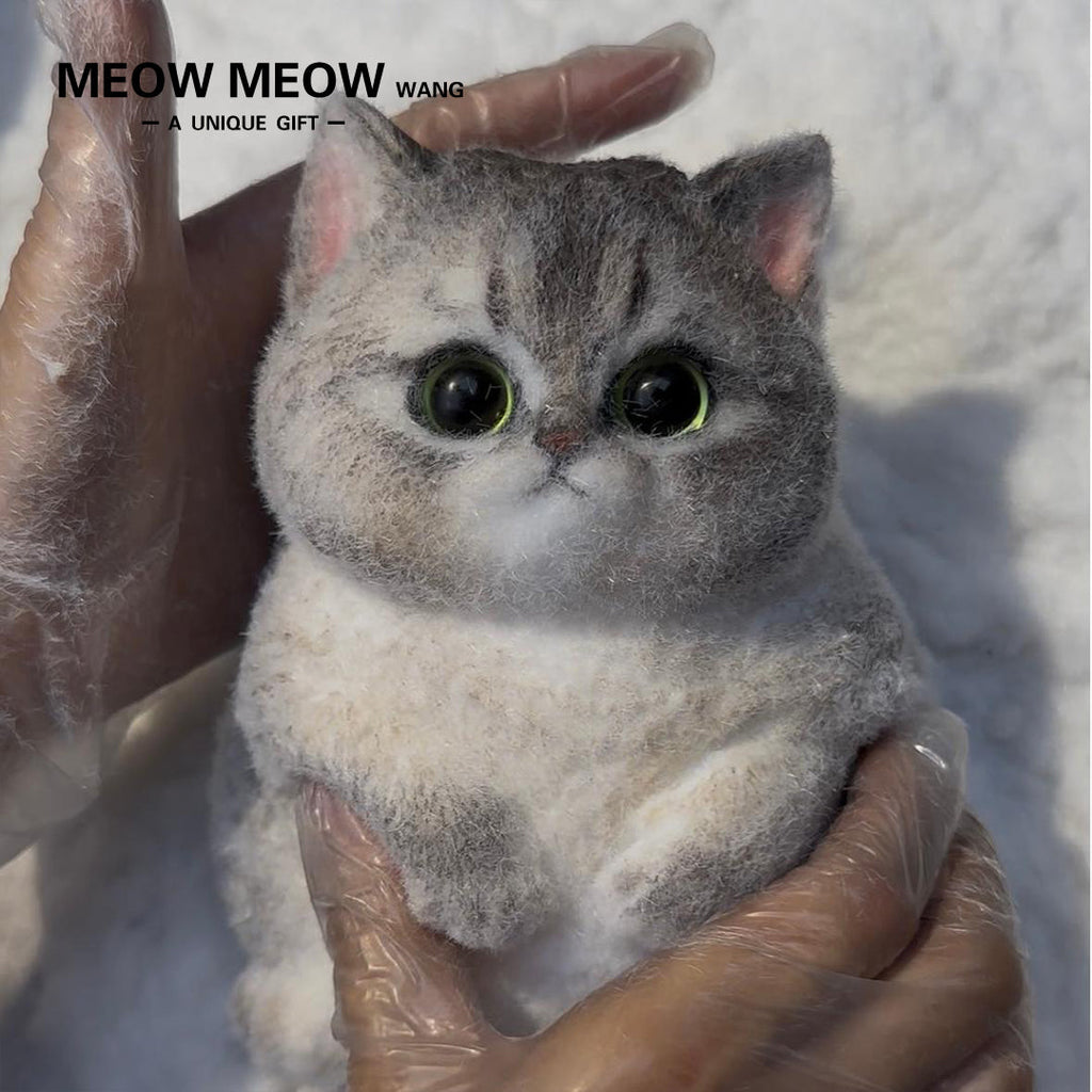 C15:New Mixed-Breed Kitten