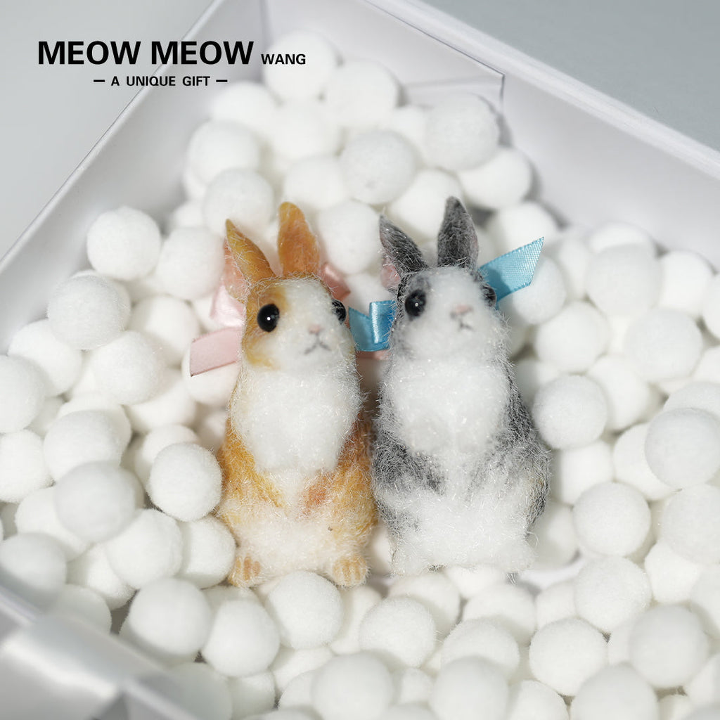 E003:A Pair Of Adorable Twin Bunnies