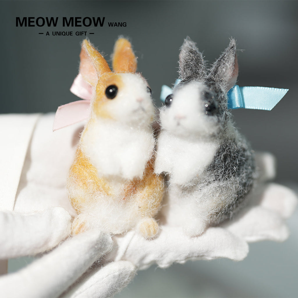 E003:A Pair Of Adorable Twin Bunnies