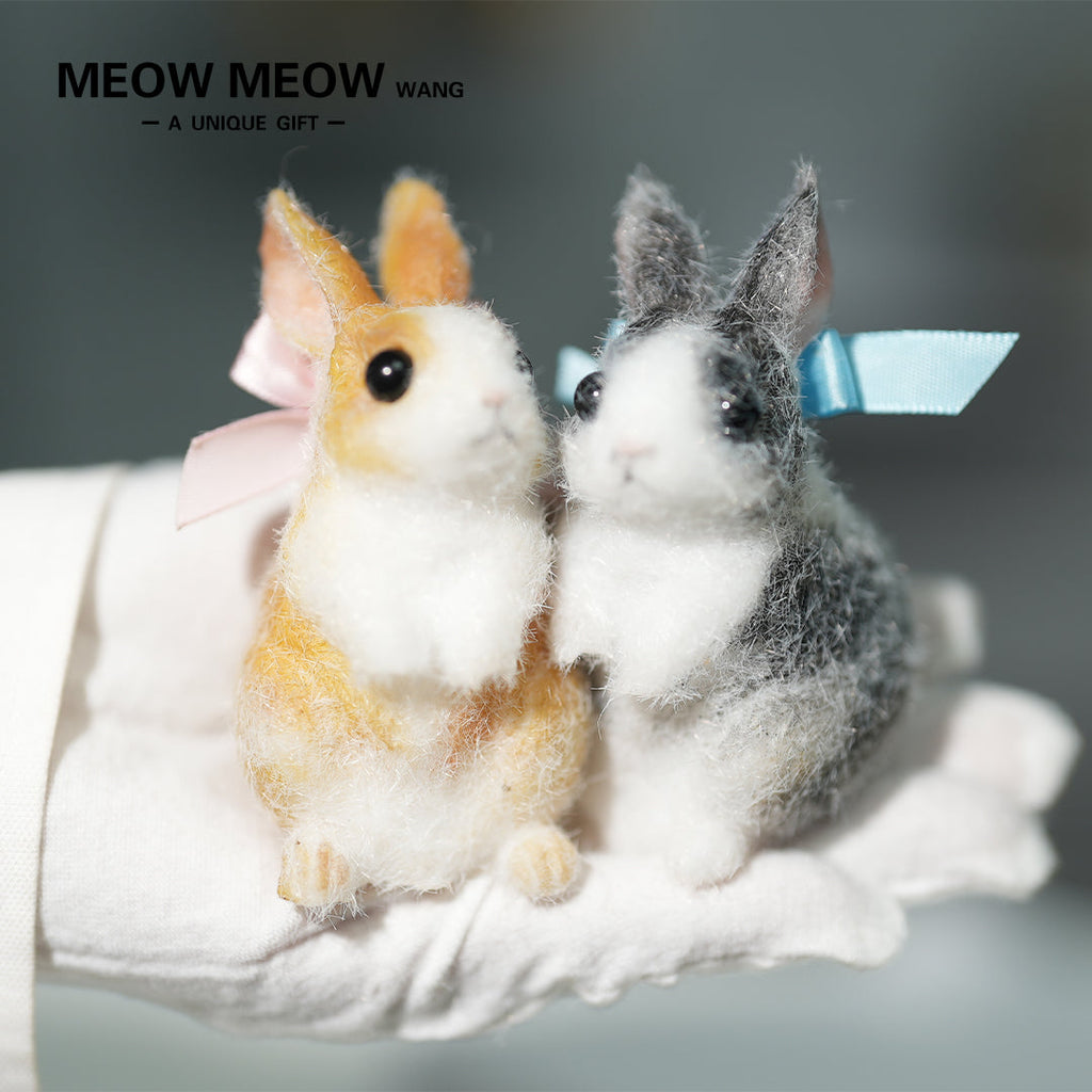 E003:A Pair Of Adorable Twin Bunnies